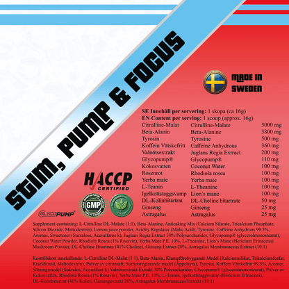 BigBoy Pharma Pre Workout (PWO) 480g