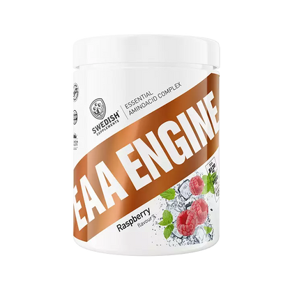 EAA Engine 450g